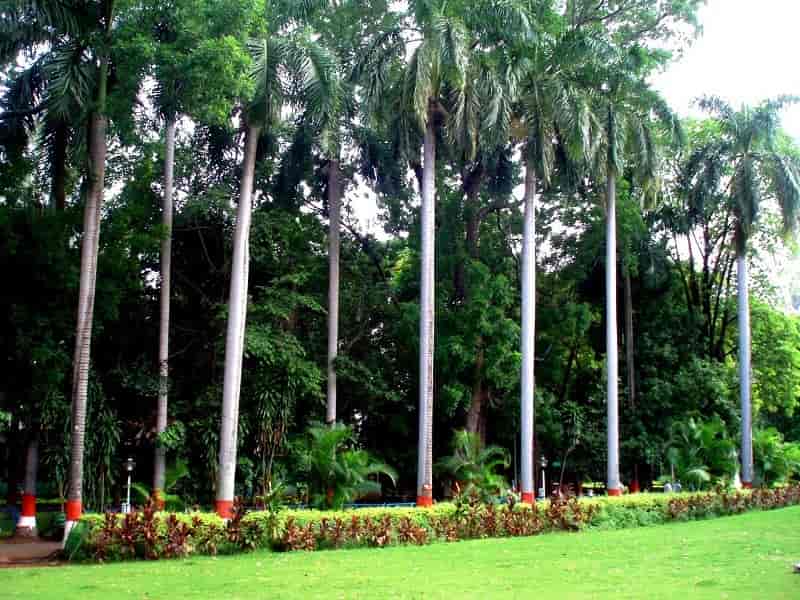 Bund Garden