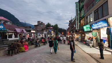 Shopping Markets in Manali