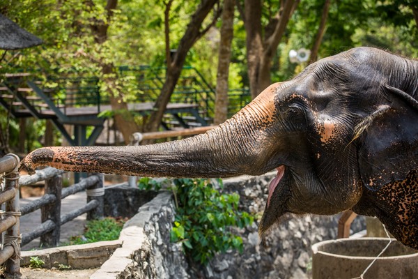 Zoo in Jaipur