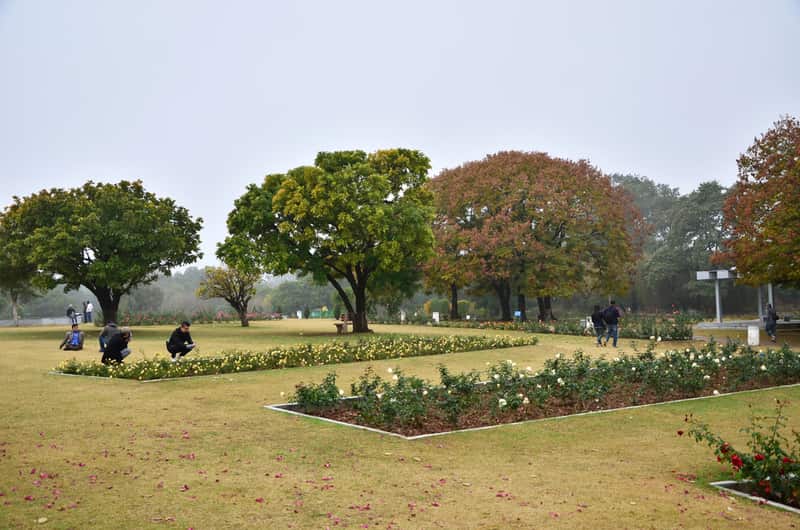 Chandigarh Rose Garden