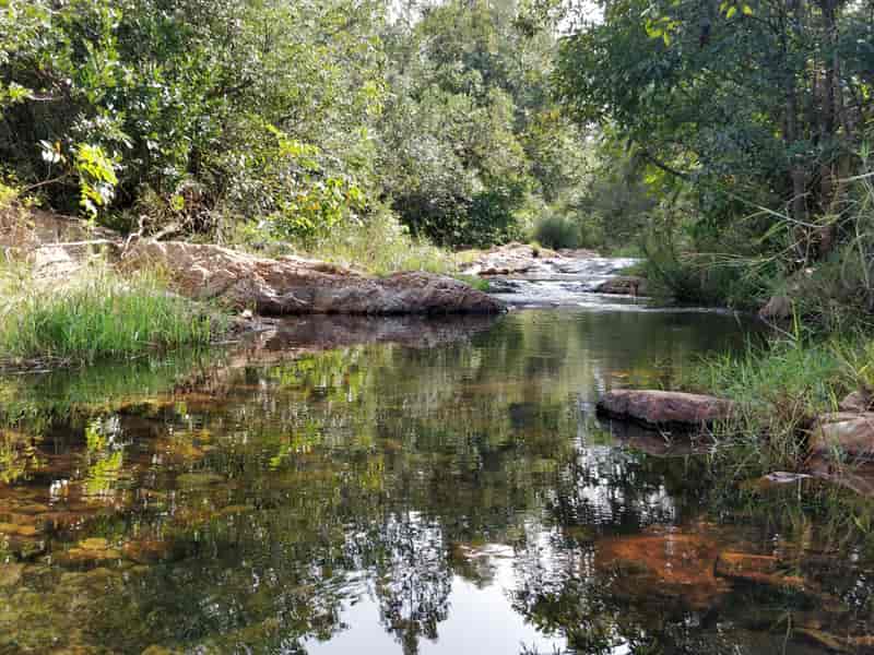 Ubbalamadugu/Tada Falls