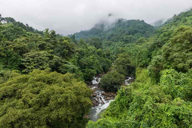 Thusharagiri Falls