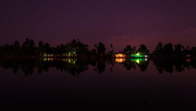 Alleppey at Night