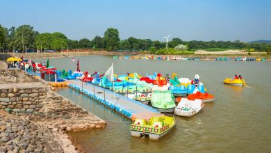 Boating in chandigarh