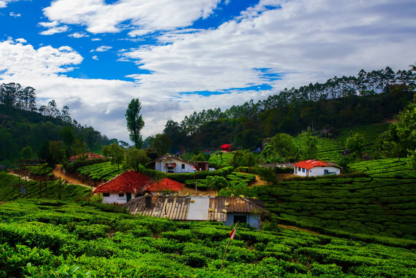 8 Top Places to Visit in Munnar, Famous Places to Visit in Munnar