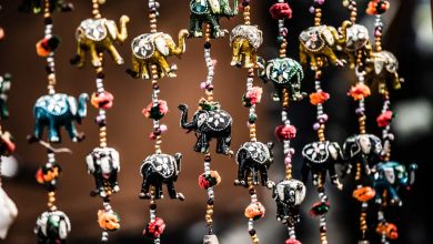 Shopping in Alleppey