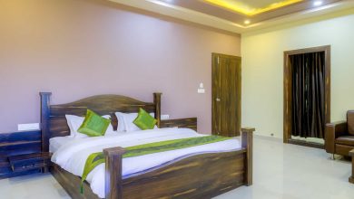 Treebo Pushkar Legacy