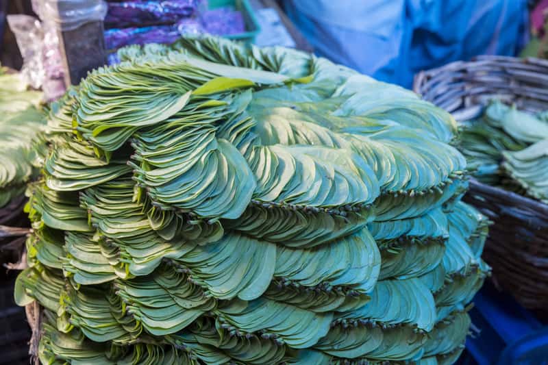 Betel Leaves