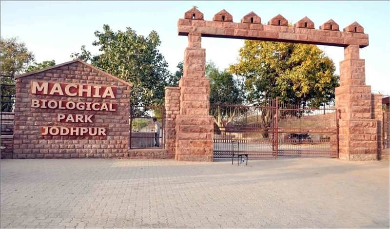 Machiya Zoological Park, Jodhpur