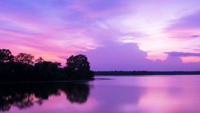 Places to visit in Nagpur