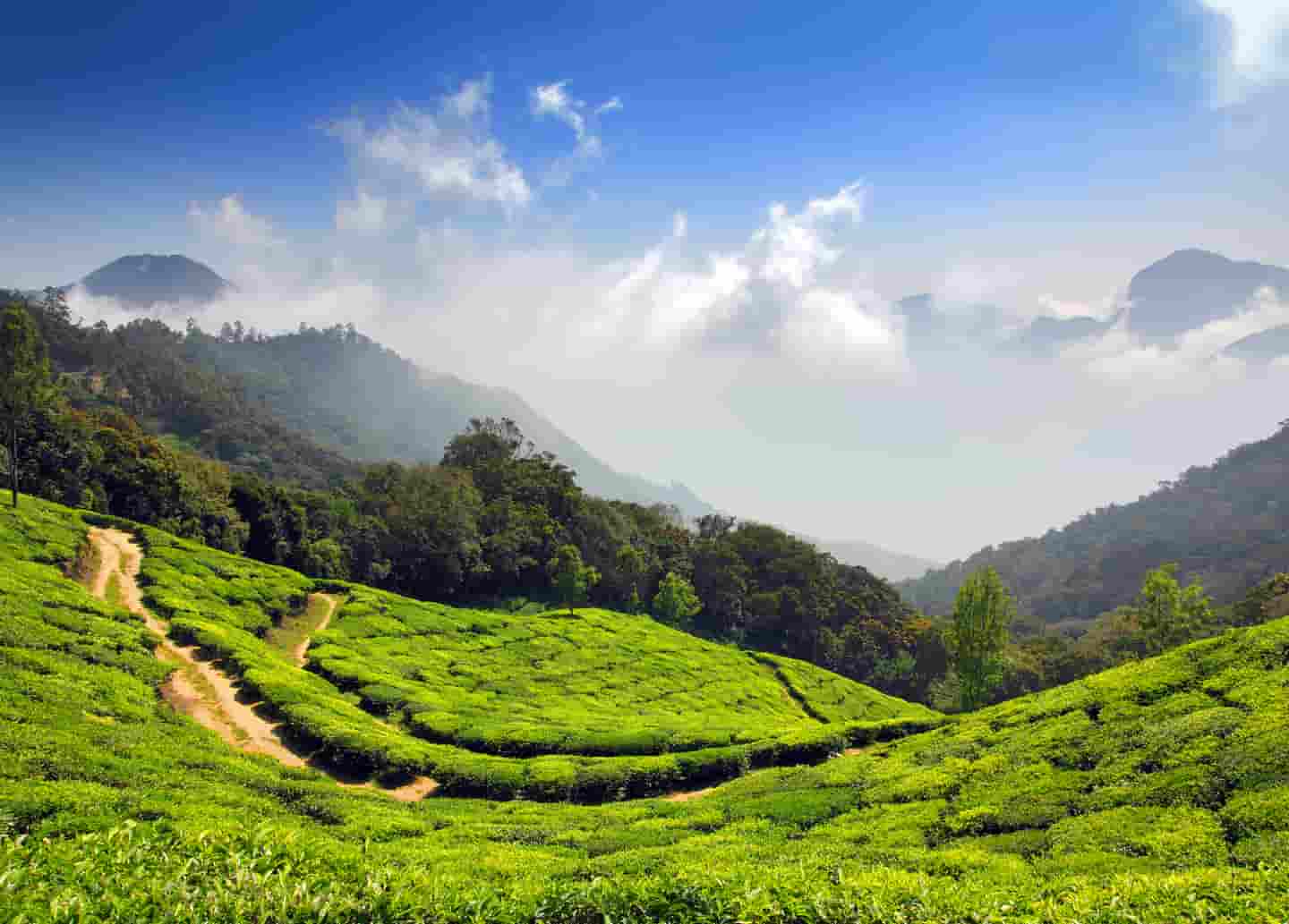 45 Amazing Hill Stations in India