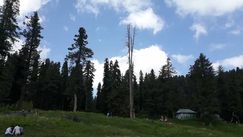 Gulmarg Children's Park