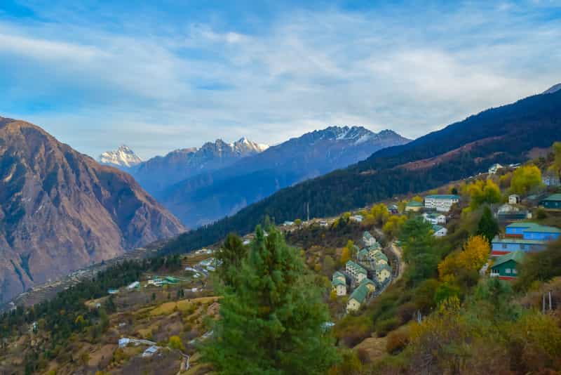 Auli