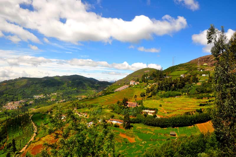 Ooty