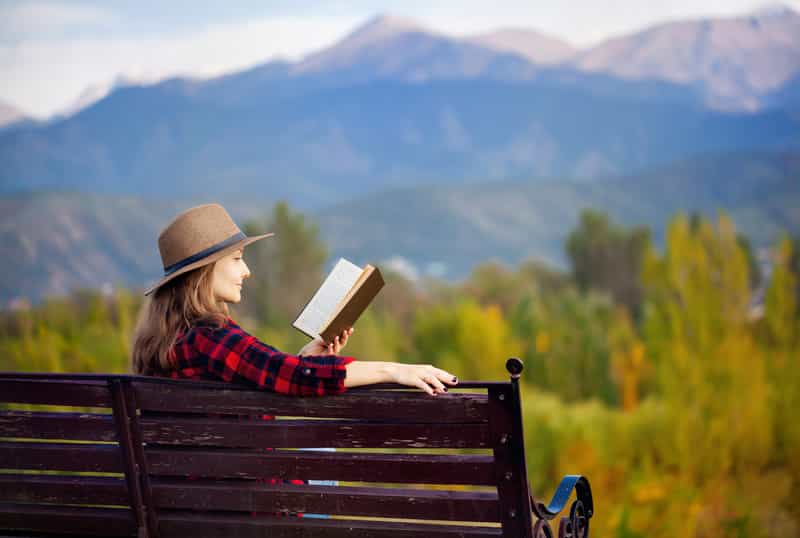 Traveler Reading