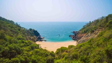 Butterfly Beach, Goa
