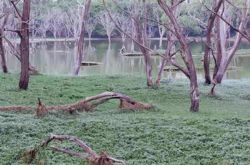 Kaikondrahalli Lake