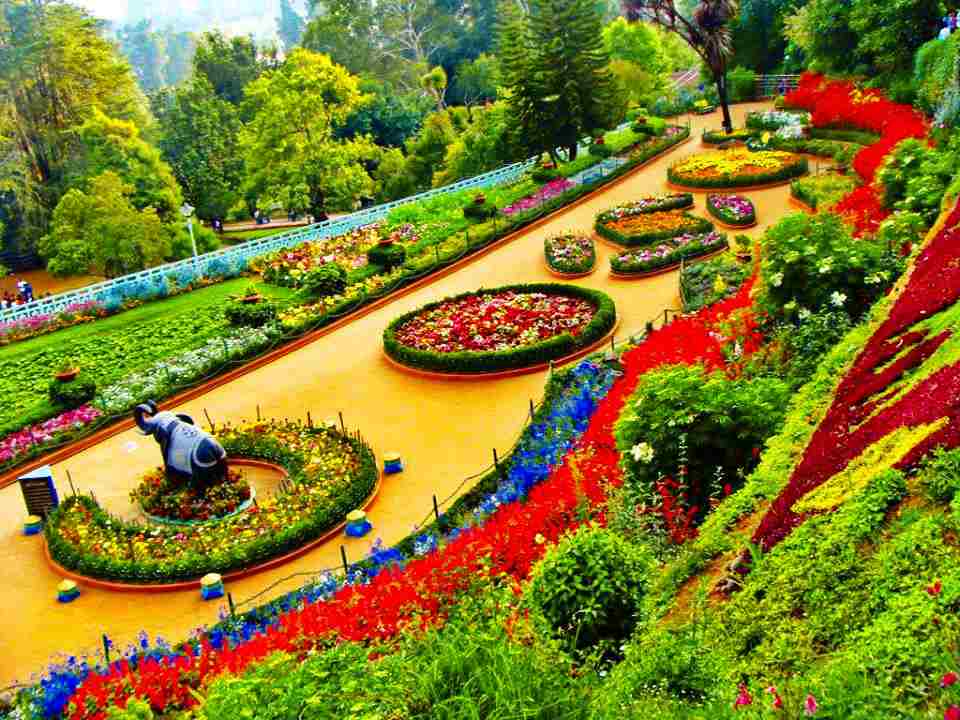 Zakir Hussain Rose Garden