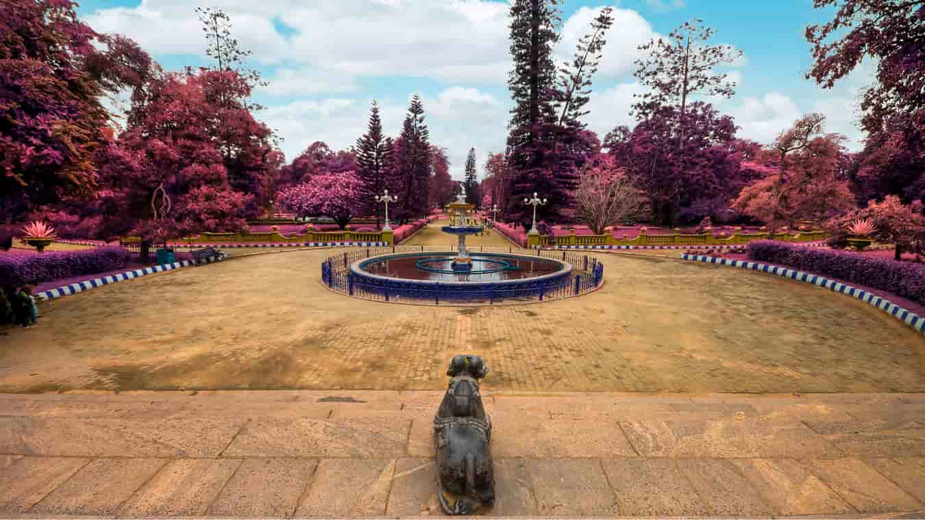 9 Famous Parks In Bangalore Gardens In Bangalore To Hangout Treebo