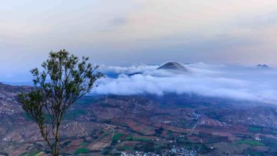 early mornings in bangalore
