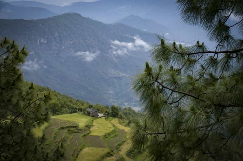 Almora