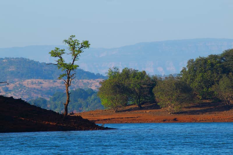 Backwaters of Koyna Dam