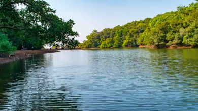 Beautiful Places to Visit Near Mumbai in May