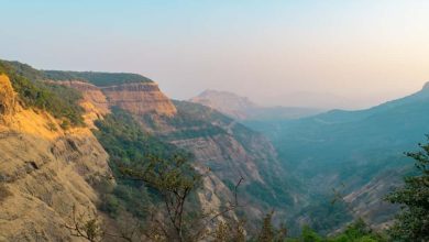 Best Hill Stations Near Mumbai to Explore