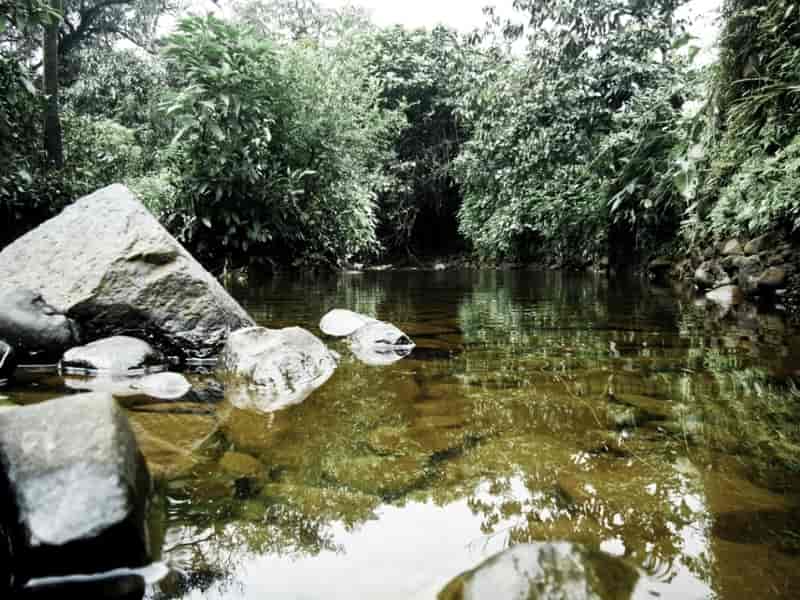 Catchment Area of Mulshi Dam