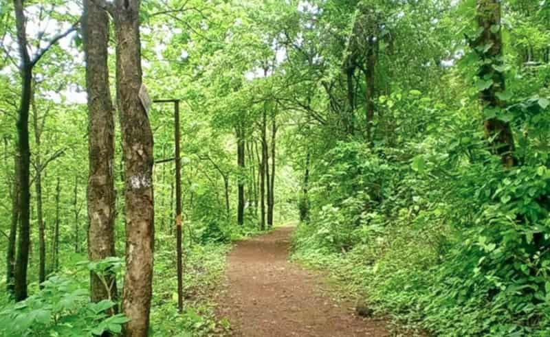 Durshet presents you with many trekking opportunities.