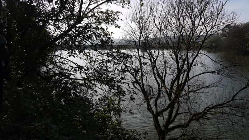 Enjoy scenic views of the Tapola lake