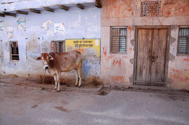 Garhmukteshwar