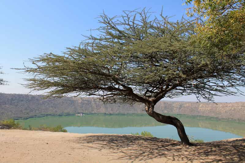 Lonar