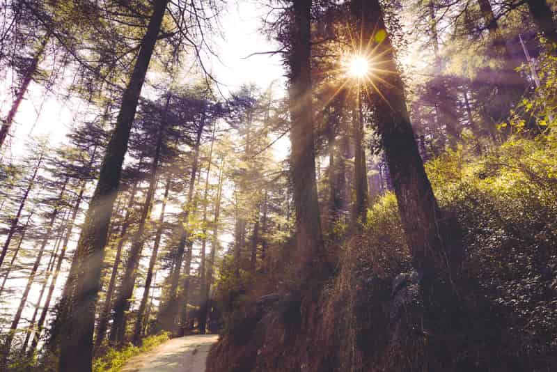 Mcleodganj