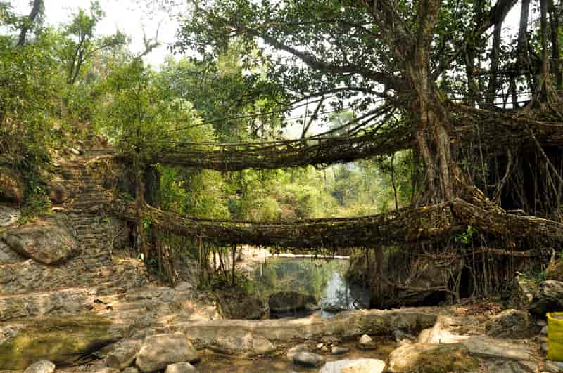 Meghalaya