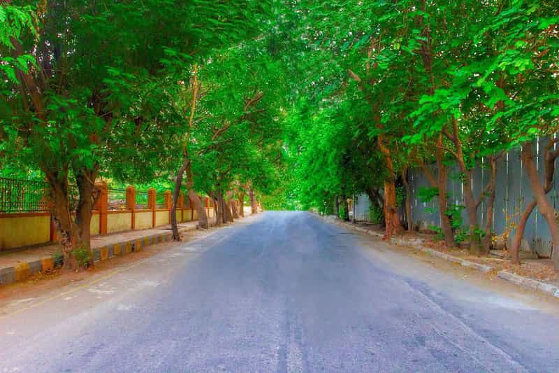 Palm Beach Road