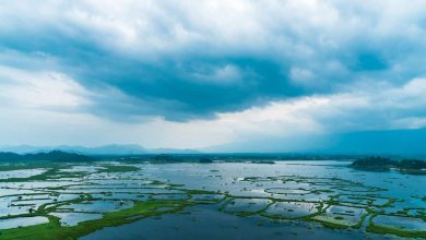 Places To Visit Near Mumbai In The Monsoon