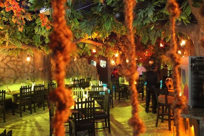 Rainforest, CBD