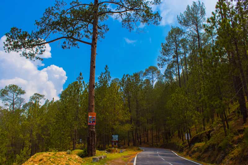 Ranikhet