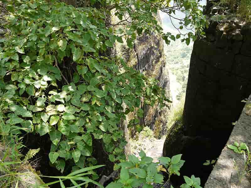 Sarasgad fort