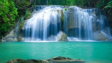 Stunning Waterfalls Near Mumbai