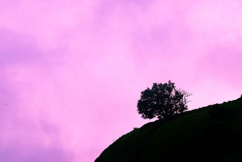 Enjoy scenic views from the One Tree Hill point in Matheran