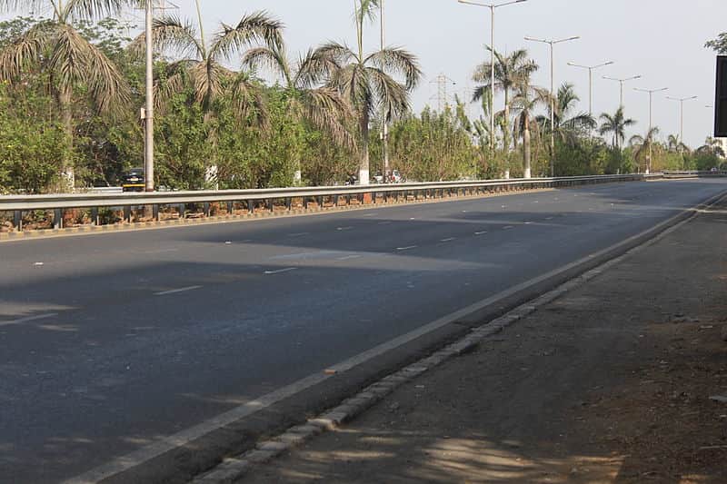 The serene backdrop the Palm Beach road provides