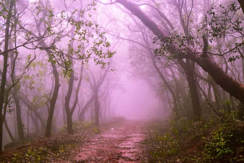 There are no cars in Matheran