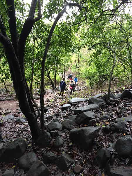 Trekkers at the Karnala Bird Sanctuary 