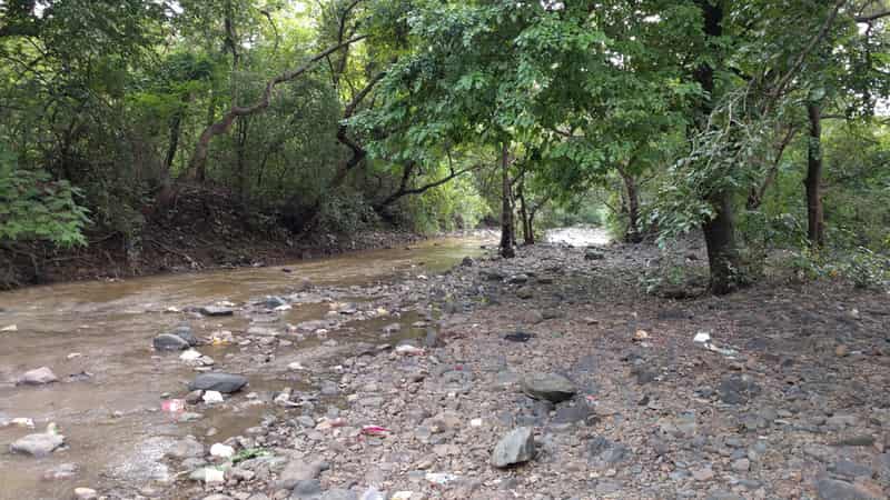 Trekking trail at Tungareshwar