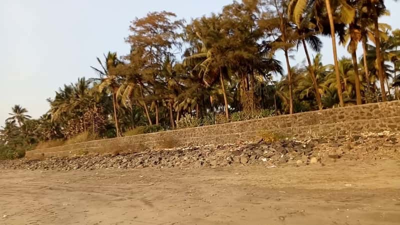 Uran Beach, Navi Mumbai