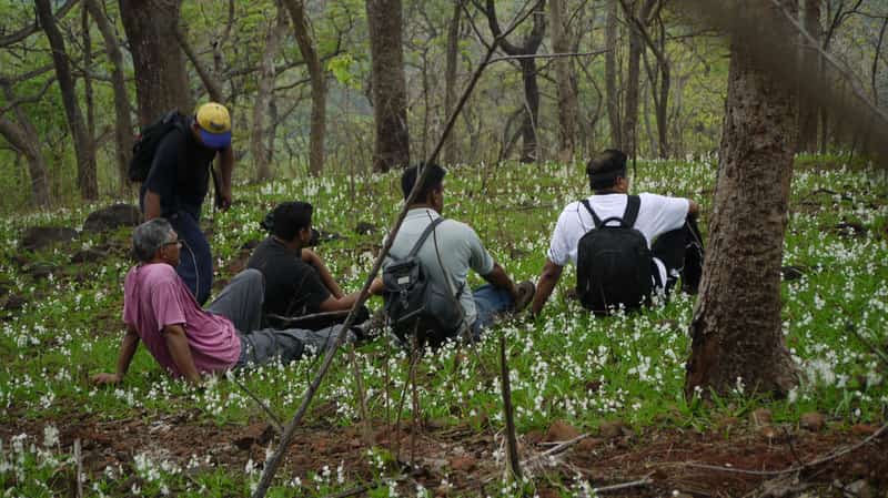 Visitors camping at the footsteps of the Yeoor Hill