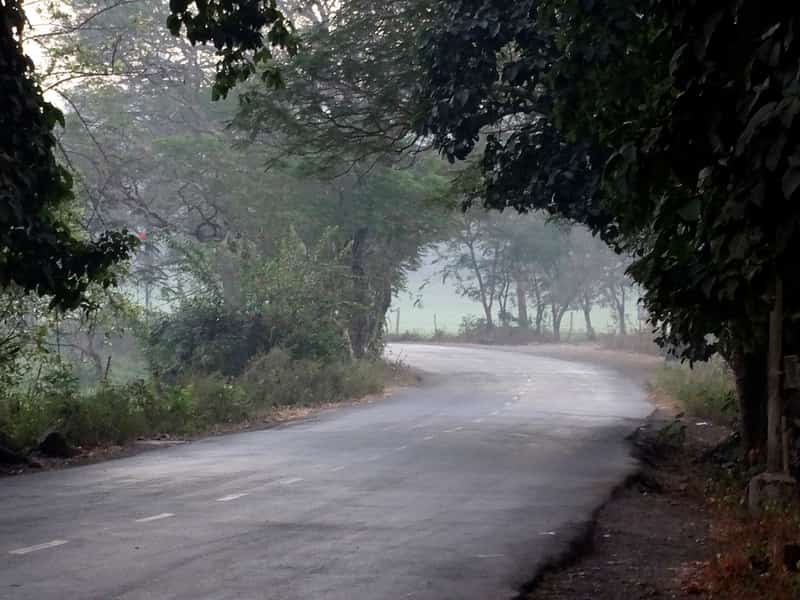 Walk around the lush area filled with greenery