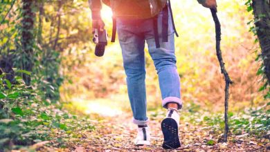 Trekking in Forts Near Mumbai